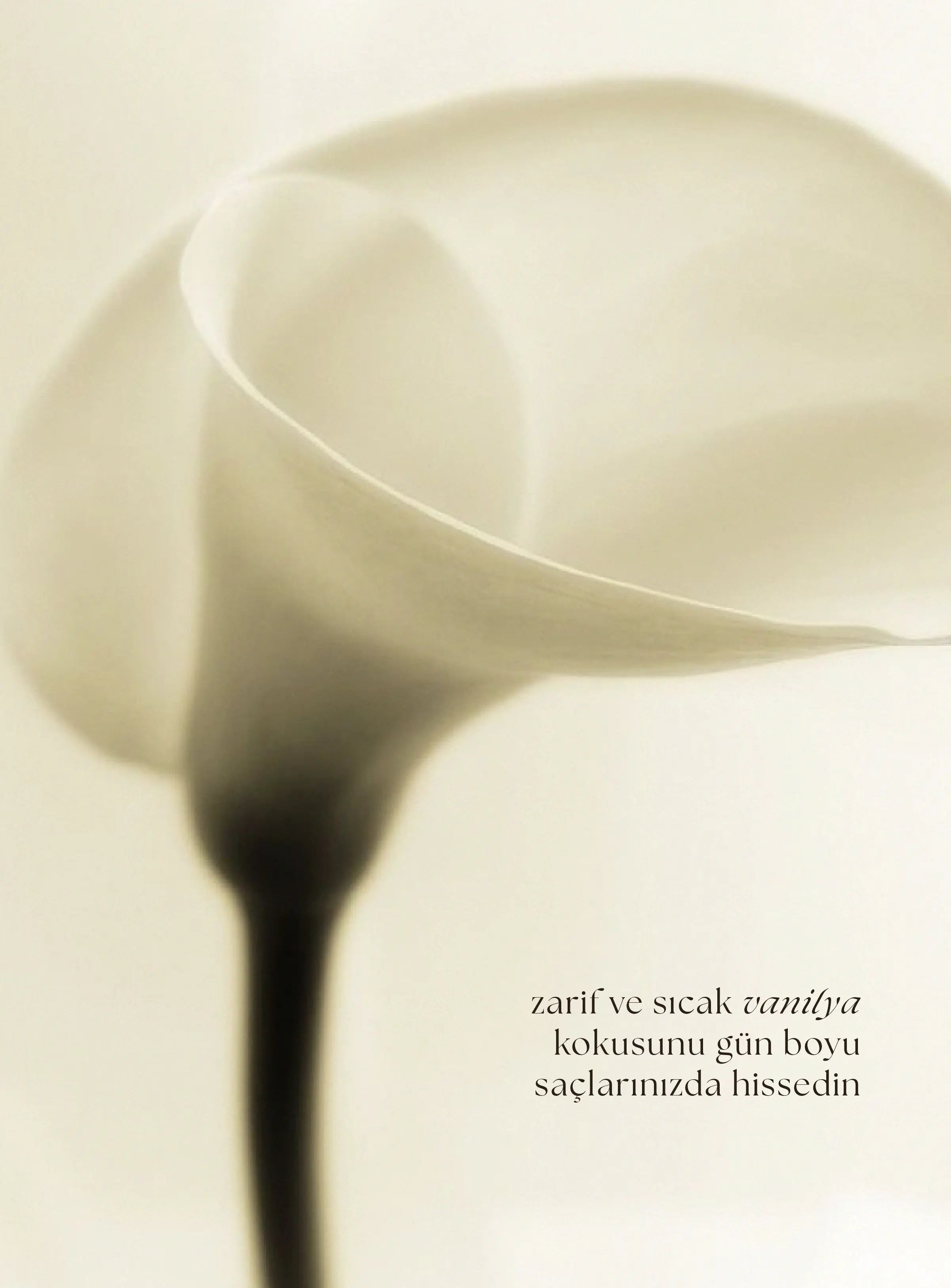 Lalive Günlük Parlaklık Saç Bakım Yağı · Vanilya