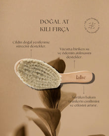 Lalive Doğal At Kılı Fırçası